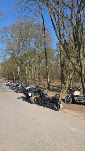 Ausfahrt-des-M.C.-Hermsdorf-e.V.-nach-Wustrau-2025-46