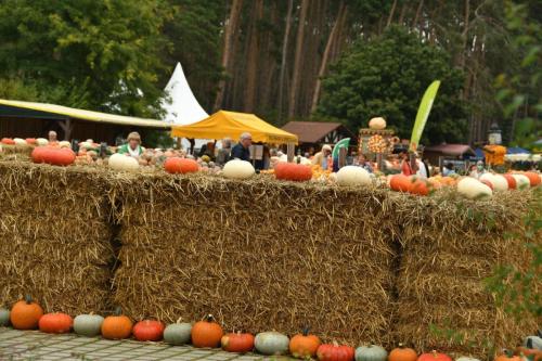 MC-Hermsdorf-Sonnenhofroute-2021-0597