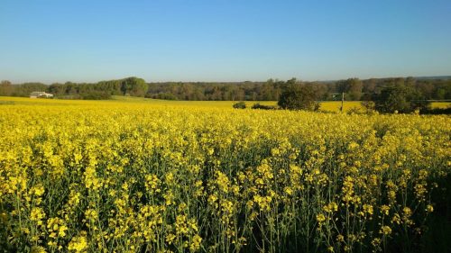 Tour-in-die-Toscana-des-Nordens-2026.1-020
